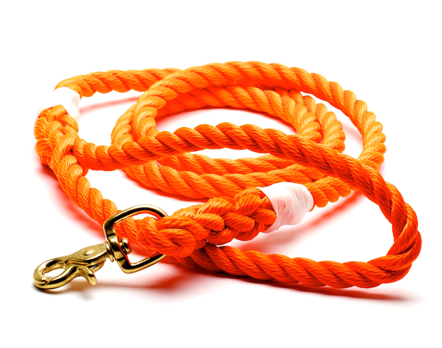 Desire This | Found My Animal Marine-Grade Rope Dog Leash